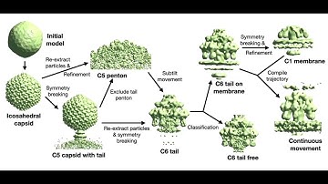 Cryo-ET data processing in EMAN2 – Muyuan Chen at the 5th LBMS Annual Cryo-EM Course