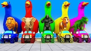 5 Giant Duck, Monkey, Piglet, chicken, dog, cat, lion, cow, Sheep, Transfiguration funny animal 2024