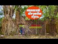 പൊന്നാനിയിലെ ആൽമരം പൊതിഞ്ഞെടുത്ത ഗുദാമിൽ😳🤩| Old building covered with Banyan Roots|Come on everybody