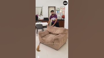 Part 28 - घर में काम ज्यादा है 🤣 | Kaamwali Bai | #Shorts | Shorts Break