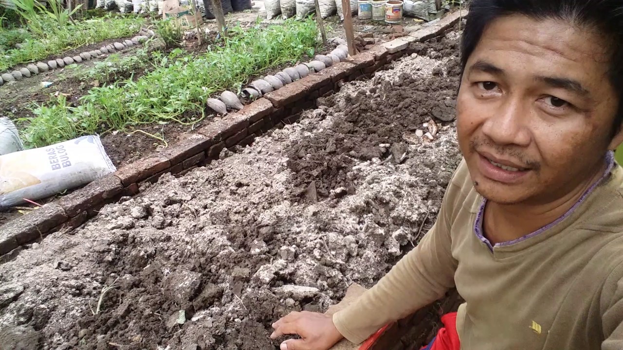 Cara Membuat Raisebed Batu Bata yang Subur dan Gembur 