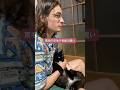 冬になると本気を出し始める猫。毎年別猫かと聞かれますが同じ猫です。#ネルソン監督 #ねこ