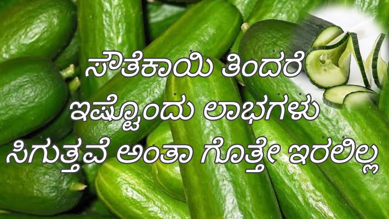 Health benefits of cucumber in kannada YouTube