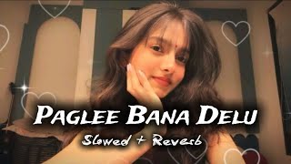 Pagle Bana Delu 🎧 | (Slowed & Reverb) |instagram trending bhojpuri song | Pramod Premi Lofi Song