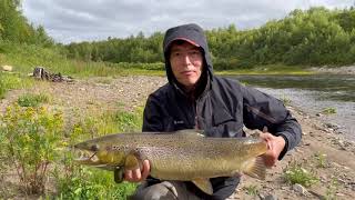 Рыбалка на сёмгу - Северный Тиман, р. Волонга, 2021 год   Salmon fishing - Volonga river, 2021