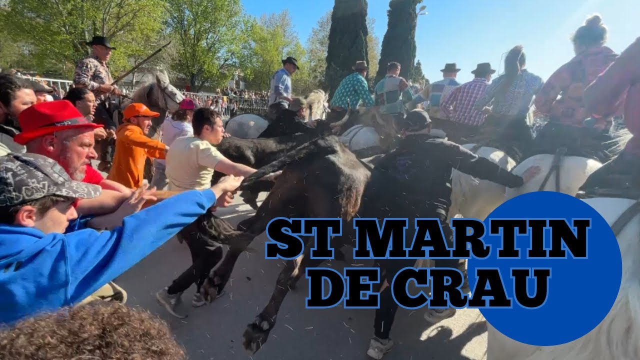 🐂 30 taureaux ☢️ C’était chaud ￼➡️ Saint-Martin-de-Crau ￼🇫🇷 06/04/2025 Manade LESCOT 👌