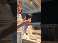 Vlog 3: Het Romeinse zalfpotje