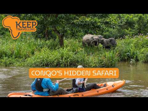 Congo’s Hidden Rainforest Safari | Gorillas, Forest Elephants & Kamba Africa | Kristina Plattner