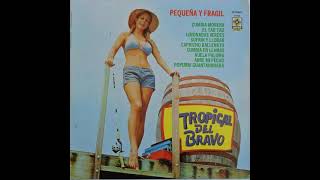 Tropical Del Bravo - Pequeña Y Fragil (1979) (Instrumental)