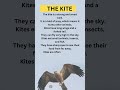 10 lines essay on Bird The Kite in English/my favorite bird/short lines on kite bird/short line bird