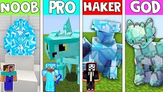 Minecraft NOOB vs PRO vs HACKER vs GOD: DIAMOND NIGHT FURY in Minecraft! HOW TO TRAIN YOUR DRAGON