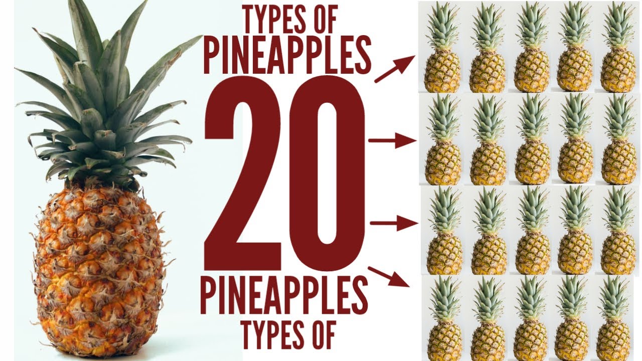 are there different types of pineapples