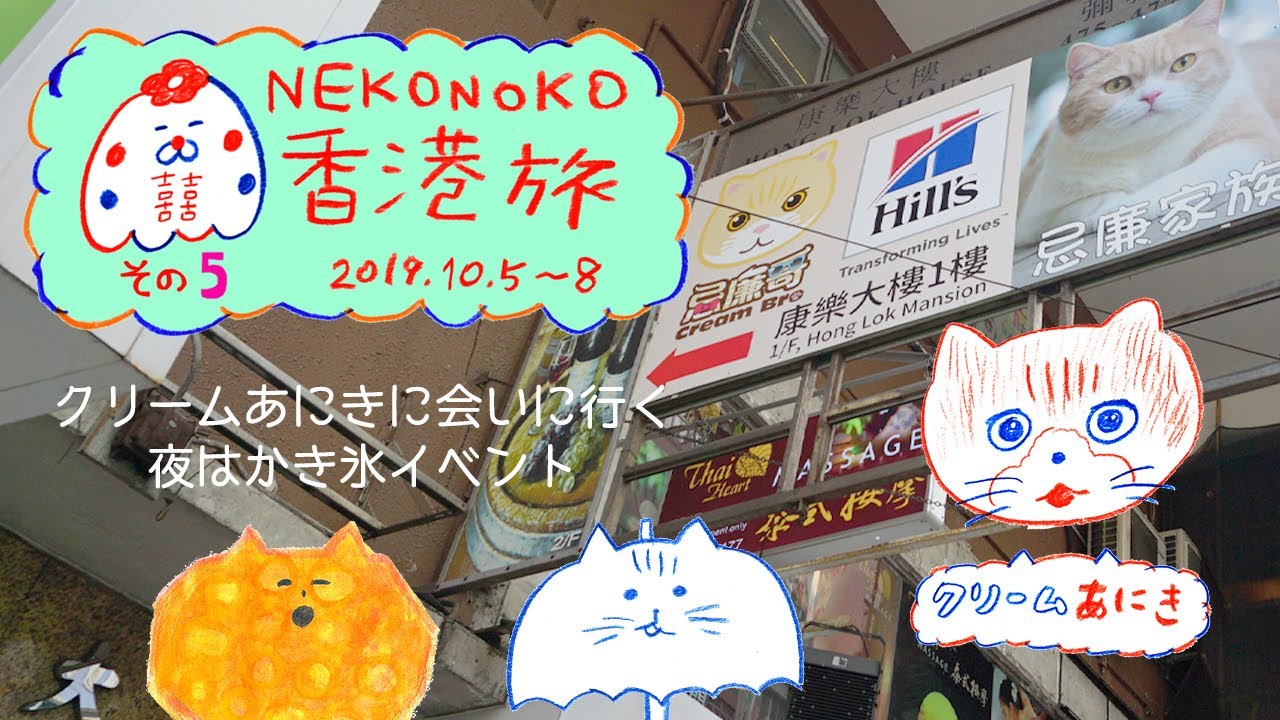 Nekonokoの香港旅 Vol 5 クリームあにきに会いに行く Youtube Nekonokoの香港旅 Vol 5 クリームあにきに会いに行く Youtube