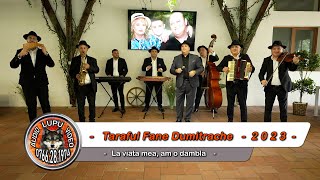 Taraful Fane Dumitrache - La viata mea, am o dambla