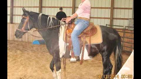 Jessica Holmberg Barrel Clinic @ Windy Acres Ranch