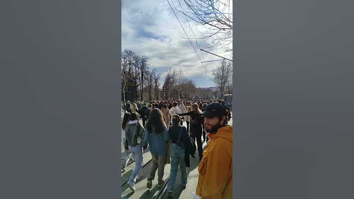 🇷🇸 Beograd 2025 - studentski protesti - Autokomanda 27.januar 2025. Studenti brane ustav