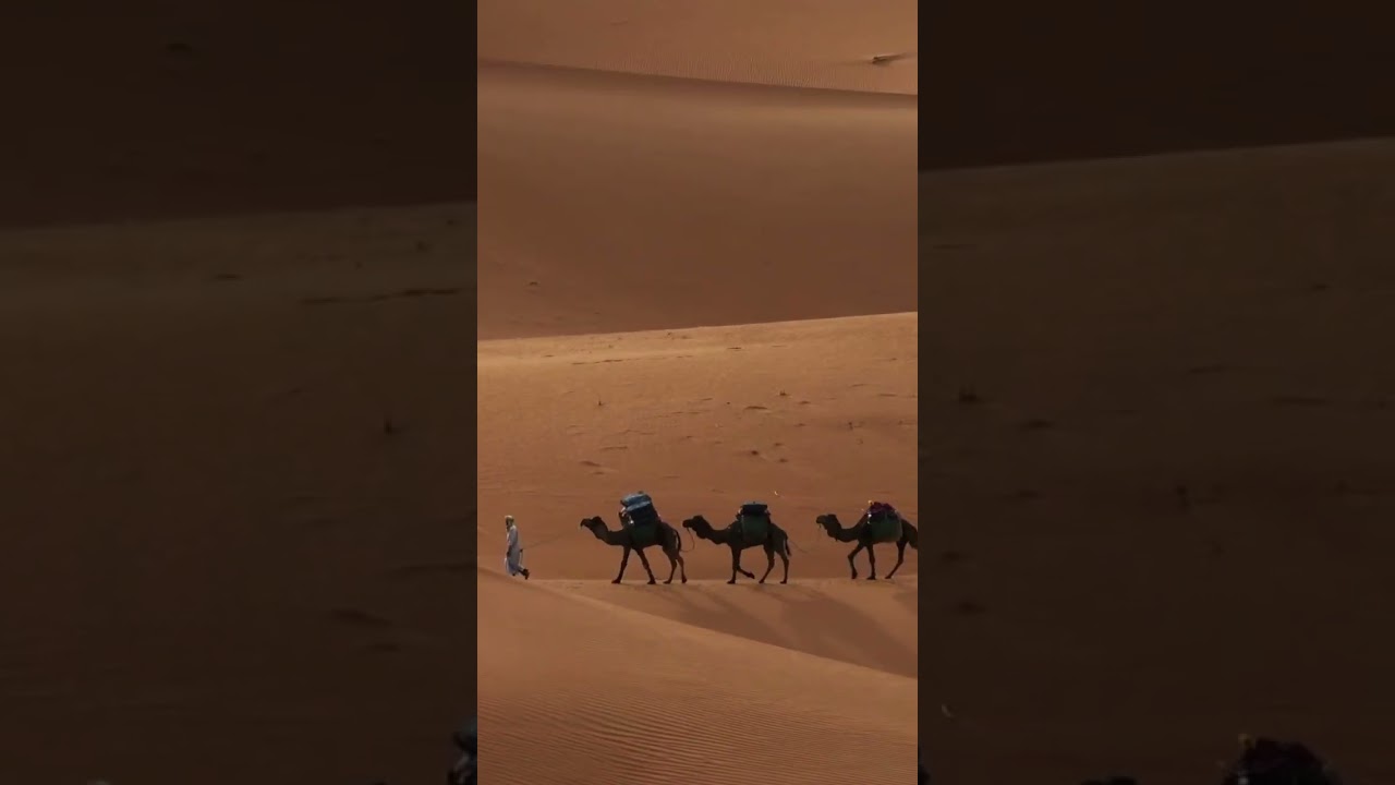 Exploring Sahara Desert 