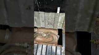 EASY replacement of 1998 Chevy k 1500 fuel pump