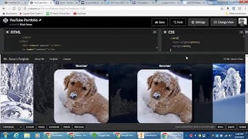 freeCodeCamp | Build a Portfolio Page | Part 4