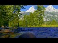 Mountain Stream Water Sounds for Relaxation, Studying or Sleeping | White Noise 10 Hours
