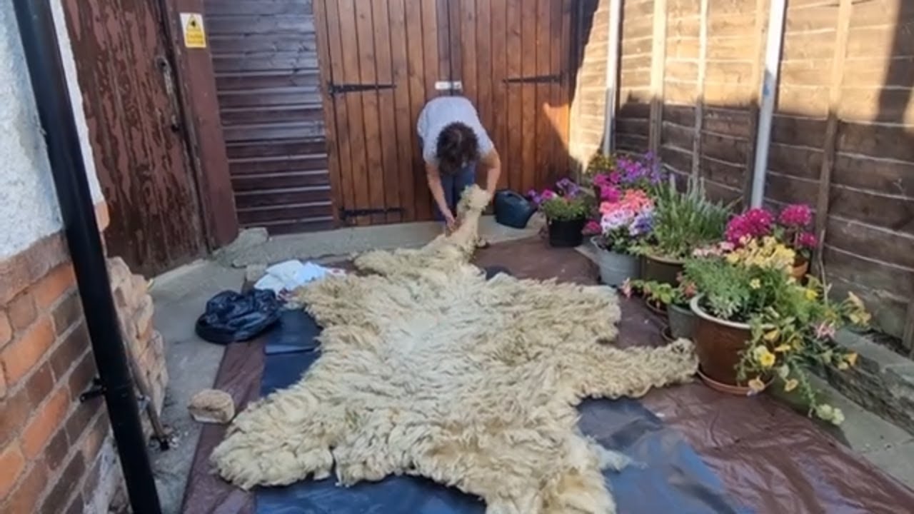 DIY Fleece Rug for Home Bliss