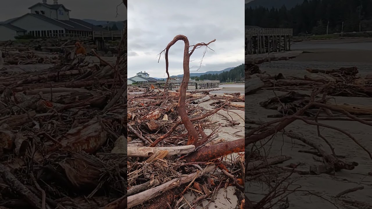 Lincoln city Oregon. 