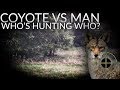 Coyote Vs. Man Who&#39;s Hunting Who?