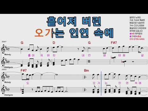 장민호 바람같은 인생