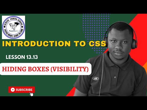 Lesson 13.13:  Hiding Boxes (Visibility)