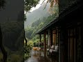 Modern cabin, wet deck, misty forest view. This is tranquility #Cabin #RainyVibes#Tranquility