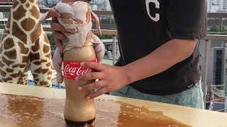 Handmade coke can chicken | Korean Wildman