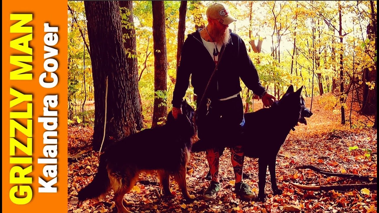 Rockettothesky - Grizzly Man (Kalandra cover)