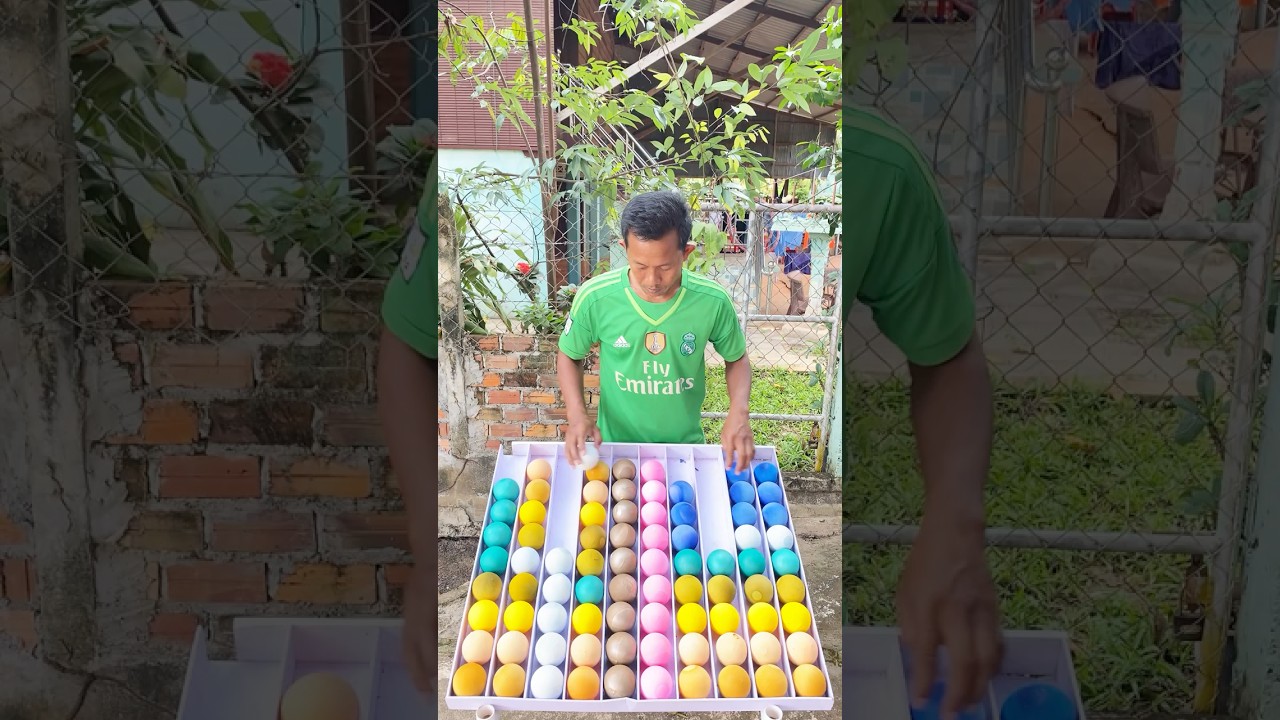 Game Challenge Sort Color Ball Puzzle 