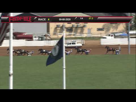 Red Mile Dog Races Red Mile Racetrack 09/08/2020 Race 4 - YouTube