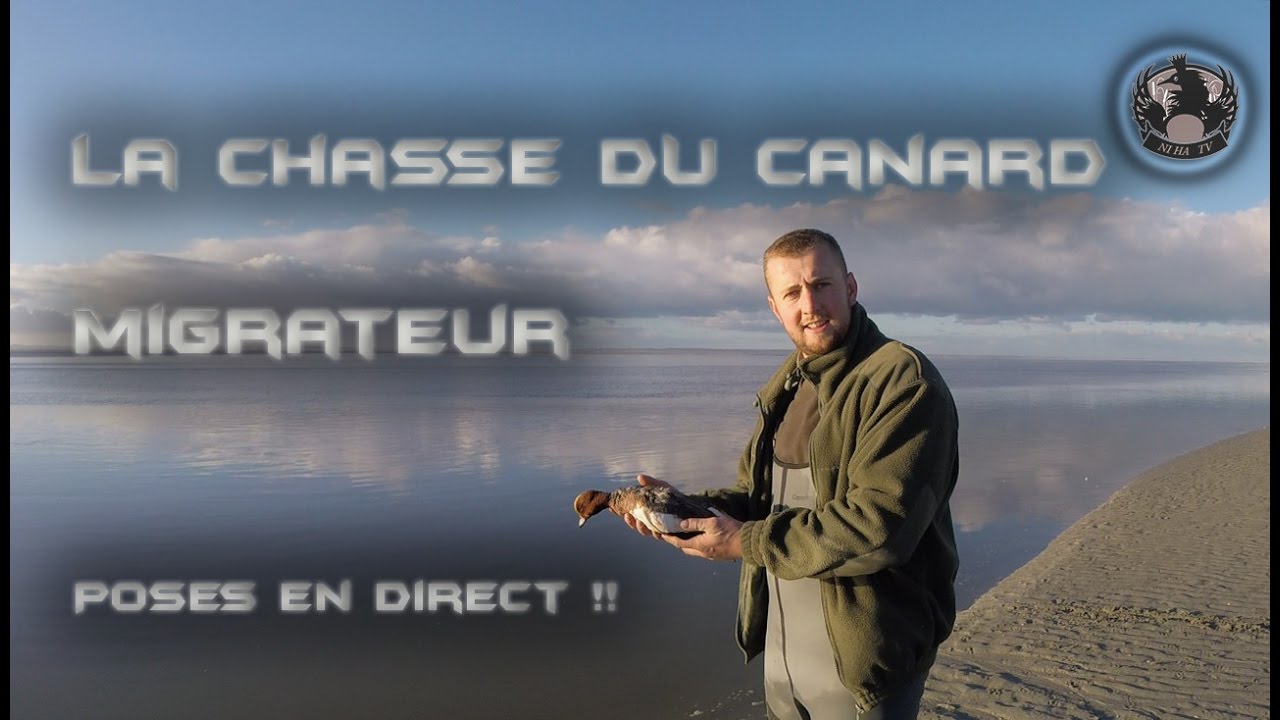 La Chasse Du Canard Migrateur A La Passee Sarcelle Siffleur Chipeau Duck Hunting Youtube