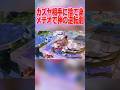 カズヤ相手に神の2連メテオをして神逆転しましたw#shorts #スマブラsp #マリオ#メテオ#カズヤ#逆転#はいよろこんで