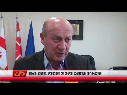 გორის მუნიციპალიტეტში 30 ახალი ავტობუსი იმოძრავებს