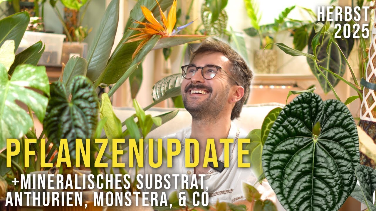 Teil 2 vom Mineral-Mix-Abenteuer – läuft’s oder staubt’s?