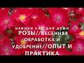 РОЗЫ//Весенняя обработка и удобрение роз//Опыт и практика.