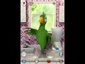 Parrot dancing #shorts #funny