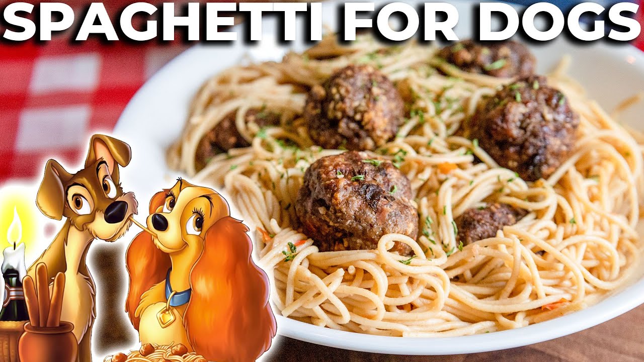 I Recreated the Lady and the Tramp Spaghetti Scene for My Dog ✨ Fictional Feasts