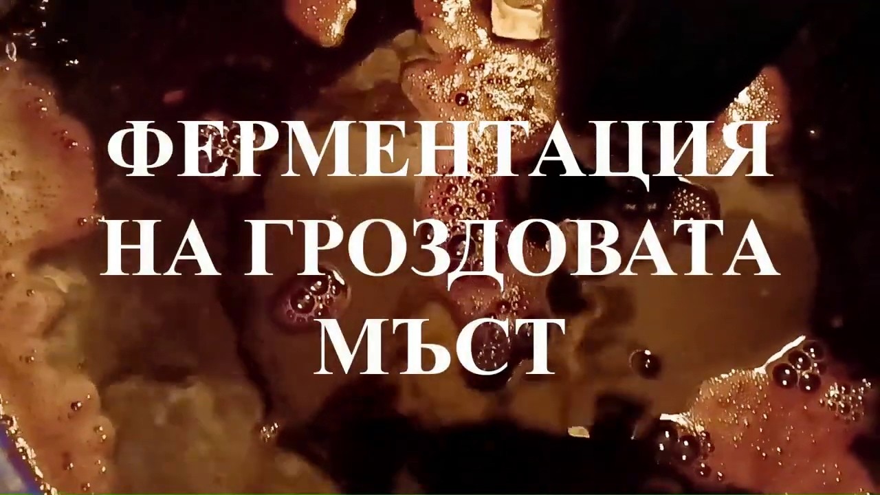 Какво трябва да знаем за ферментацията? Идеални условия за протичане на ферментацията при виното.