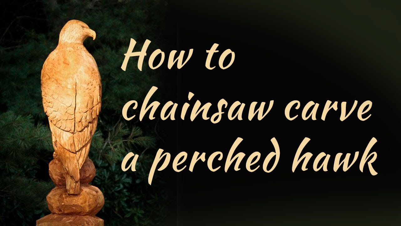 How to chainsaw carve a perched hawk or eagle Part 1