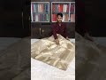 चंदेरी साड़ी हैंडलूम Eknaliya Mb.9770530638 #saree #pattusarees #fashion