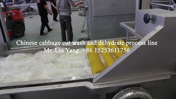 Chinese cabbage cut wash and centrifugal dehydrate process line 20210617
