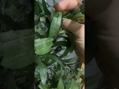 #олива #искусственные_растения #искусственные_деревья