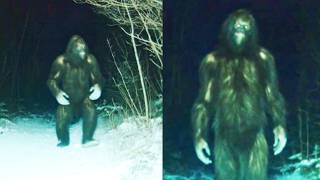 He Found Bigfoot Footage on His Trail Cam in Alaska 2026, Then Made the Mistake of Going Back