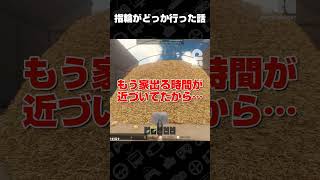 指輪がどっか行った話【Find The Needle】 #shorts