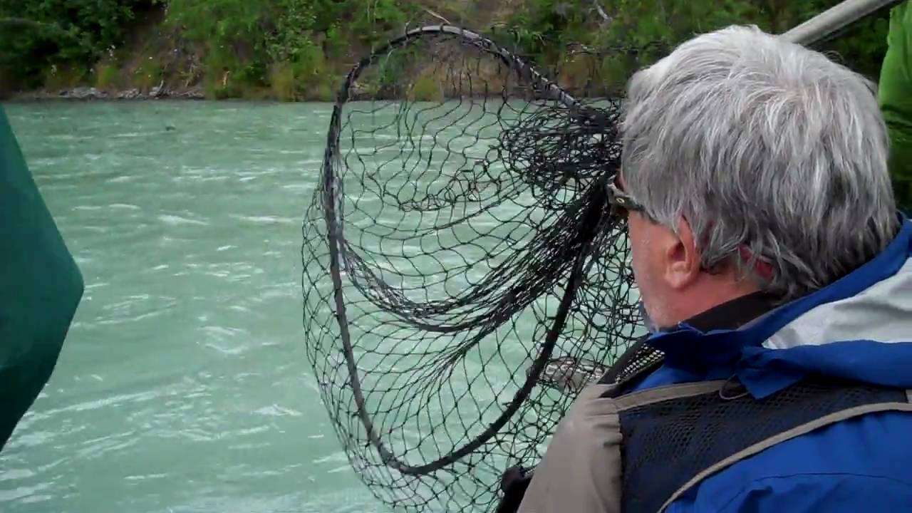 King Fishing on Kasilof River on Kenai Peninsula YouTube