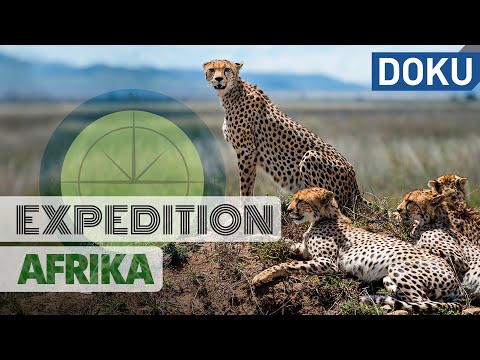 Als Fotograf und Filmemacher auf Expedition in Afrika | Reisen | Dokus und Reportagen